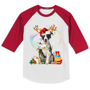 Border Collie Christmas Tree Light Pajama Dog Xmas Gift Kids Colorblock Raglan Jersey