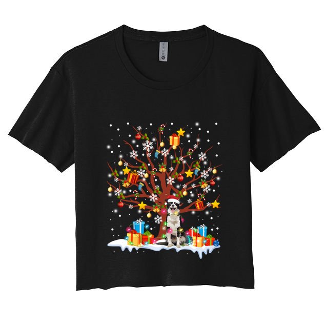 Border Collie Christmas Tree Lights Ornat Decor Gift Crop Top