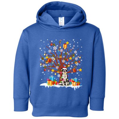 Border Collie Christmas Tree Lights Ornat Decor Gift Toddler Hoodie