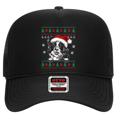 Border Collie Christmas Ugly Sweater Funny Dog Lover Xmas Gift Trucker Hat