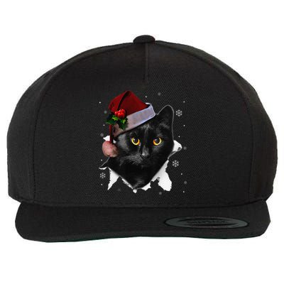 Black Cat Christmas Santa Hat Funny Cat Lover Christmas Wool Snapback Cap