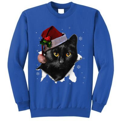 Black Cat Christmas Santa Hat Funny Cat Lover Christmas Sweatshirt