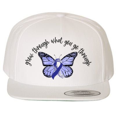 Butterfly Colon Cancer Wool Snapback Cap