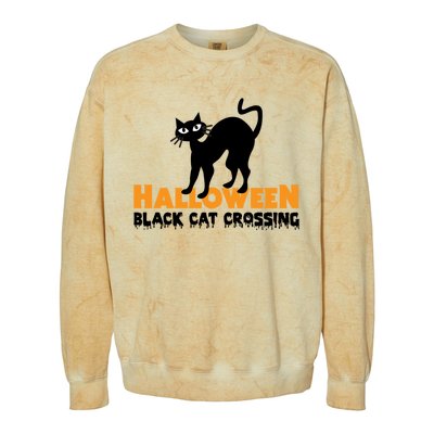 Black Cat Crossing Funny Original Halloween Party Knitwear Gift Colorblast Crewneck Sweatshirt