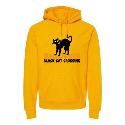 Black Cat Crossing Funny Original Halloween Party Knitwear Gift Premium Hoodie