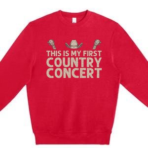 Best Country Concert Art For Women Country Music Concert Premium Crewneck Sweatshirt