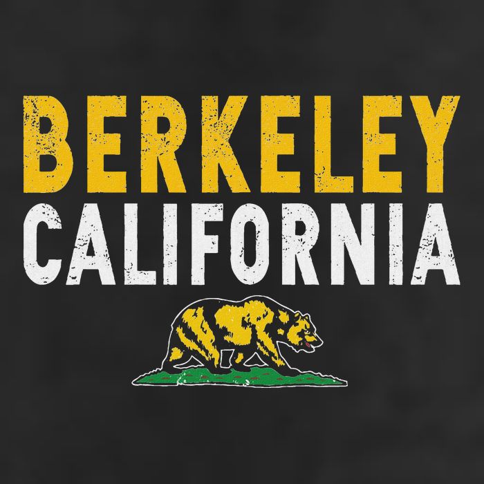 Berkeley California Ca 11oz C Handle Ceramic Mug