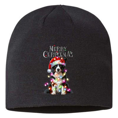 Border Collie Christmas Lights Xmas Dog Santa Sustainable Beanie