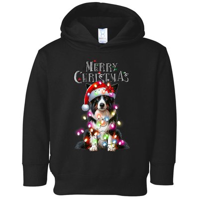 Border Collie Christmas Lights Xmas Dog Santa Toddler Hoodie