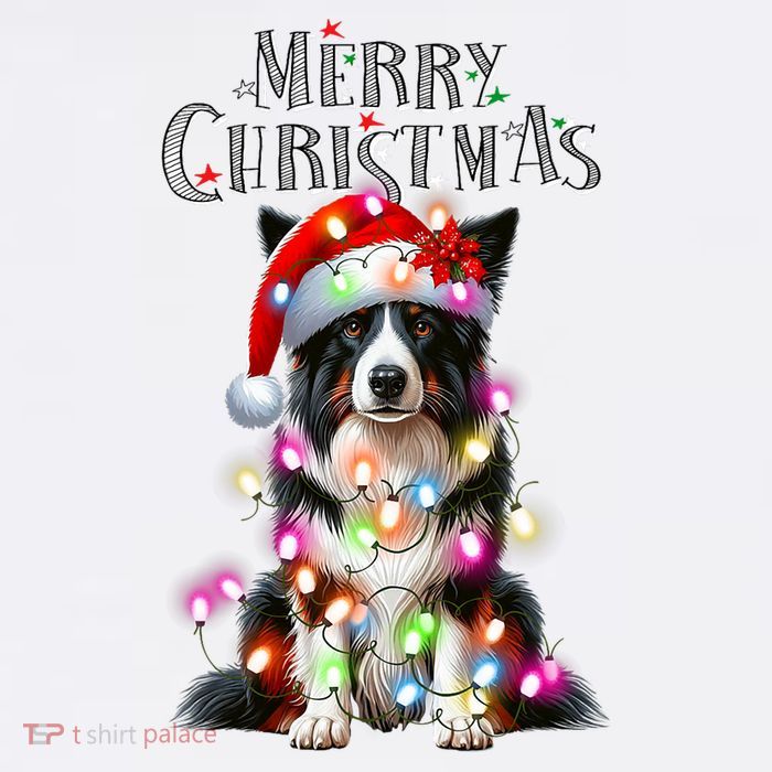 Border Collie Christmas Lights Xmas Dog Santa Womens T-Shirt