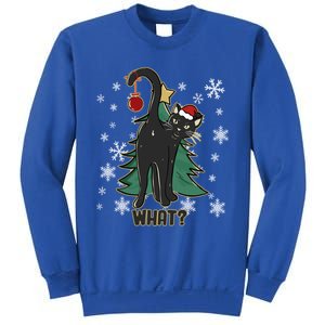 Black Cat Christmas Lights Cat Lover Funny Xmas Pajama Gift Sweatshirt