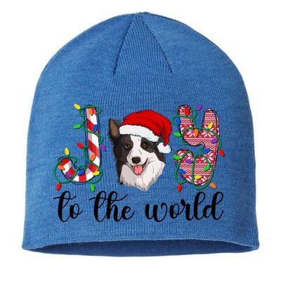 Border Collie Christmas Border Collie Xmas Party Great Gift Sustainable Beanie