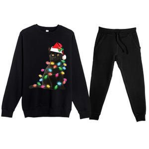 Black Cat Christmas Light Funny Cat Lover Christmas Premium Crewneck Sweatsuit Set