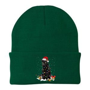 Black Cat Christmas Lights Santa Funny Cat Dad Mom Xmas Knit Cap Winter Beanie