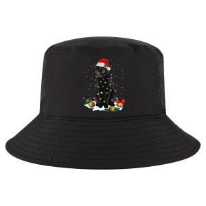 Black Cat Christmas Lights Santa Funny Cat Dad Mom Xmas Cool Comfort Performance Bucket Hat