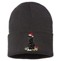 Black Cat Christmas Lights Santa Funny Cat Dad Mom Xmas Sustainable Knit Beanie