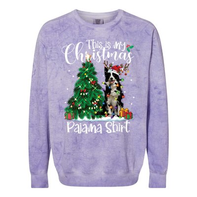 Border Collie Christmas Lights Funny Pajama Dog Lover Xmas Funny Gift Colorblast Crewneck Sweatshirt