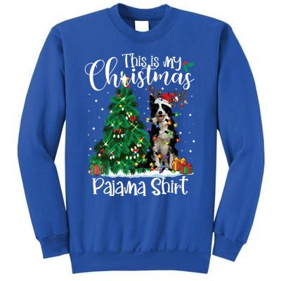 Border Collie Christmas Lights Funny Pajama Dog Lover Xmas Funny Gift Tall Sweatshirt