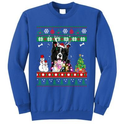 Border Collie Christmas Lights Funny Xmas Dog Gift Tall Sweatshirt