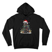 Black Cat Christmas Santa Hat Funny Meowy Cats Hoodie