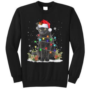 Black Cat Christmas Santa Hat Funny Meowy Cats Tall Sweatshirt