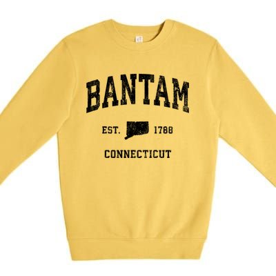 Bantam Connecticut Ct Vintage Athletic Sports Premium Crewneck Sweatshirt