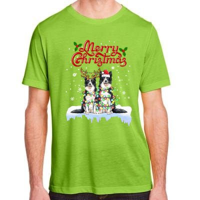 Border Collie Christmas Lights Matching Family Xmas Dog Gift Adult ChromaSoft Performance T-Shirt