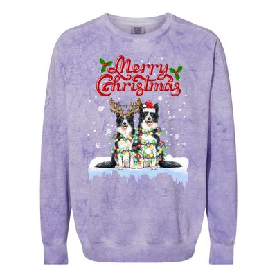 Border Collie Christmas Lights Matching Family Xmas Dog Gift Colorblast Crewneck Sweatshirt