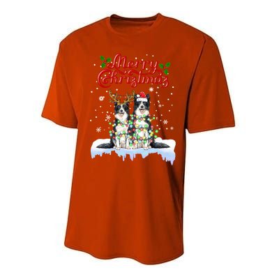 Border Collie Christmas Lights Matching Family Xmas Dog Gift Performance Sprint T-Shirt