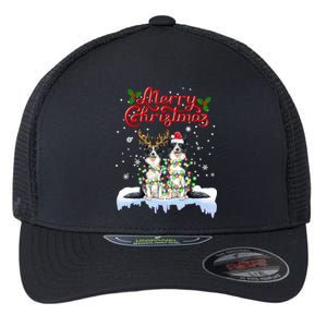 Border Collie Christmas Lights Matching Family Xmas Dog Gift Flexfit Unipanel Trucker Cap