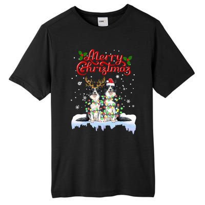 Border Collie Christmas Lights Matching Family Xmas Dog Gift Tall Fusion ChromaSoft Performance T-Shirt