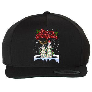 Border Collie Christmas Lights Matching Family Xmas Dog Gift Wool Snapback Cap