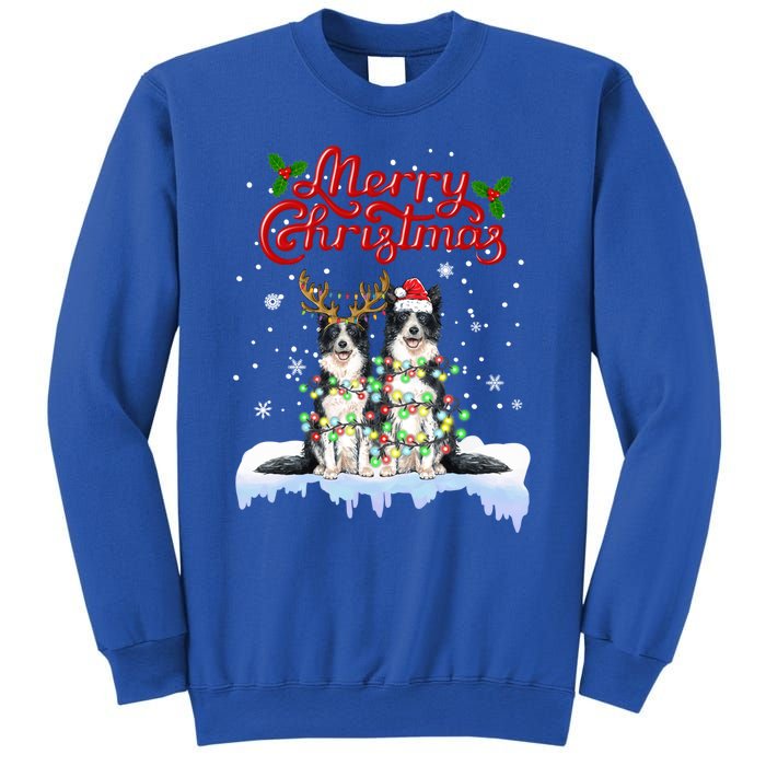 Border Collie Christmas Lights Matching Family Xmas Dog Gift Sweatshirt