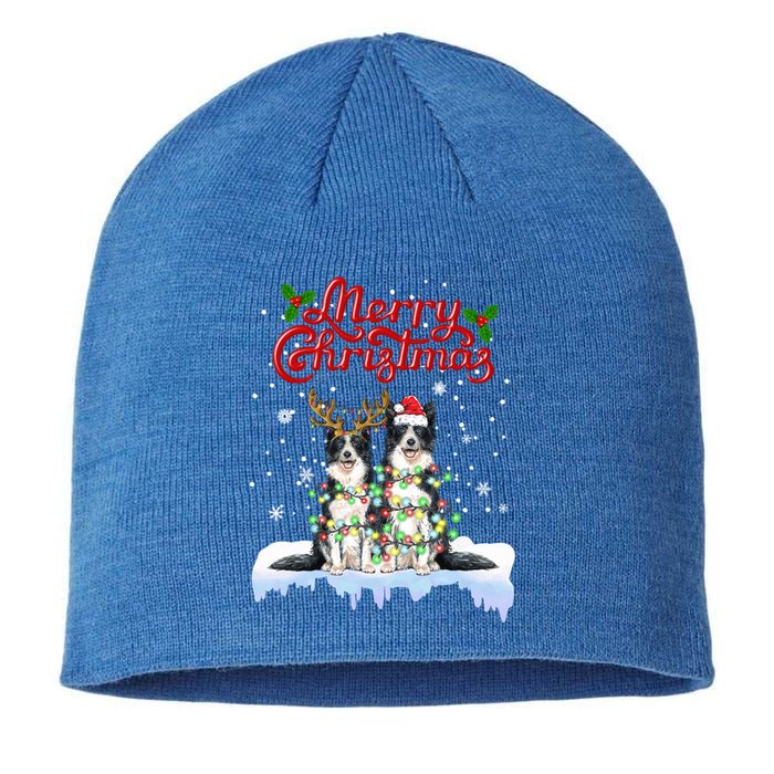 Border Collie Christmas Lights Matching Family Xmas Dog Gift Sustainable Beanie