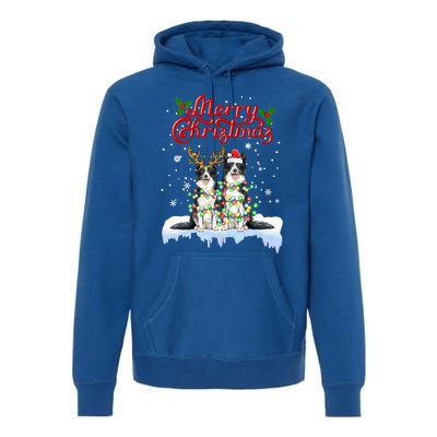 Border Collie Christmas Lights Matching Family Xmas Dog Gift Premium Hoodie