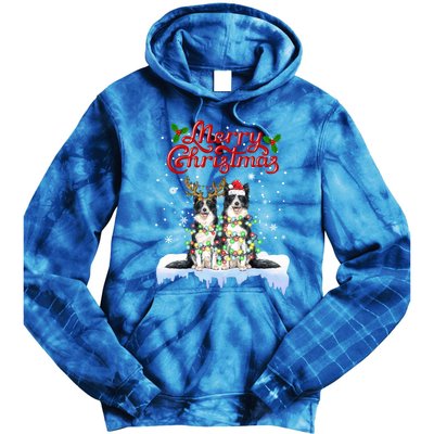 Border Collie Christmas Lights Matching Family Xmas Dog Gift Tie Dye Hoodie