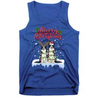 Border Collie Christmas Lights Matching Family Xmas Dog Gift Tank Top