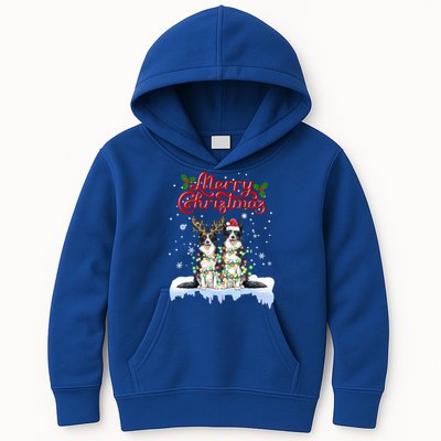 Border Collie Christmas Lights Matching Family Xmas Dog Gift Kids Hoodie