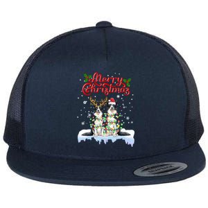 Border Collie Christmas Lights Matching Family Xmas Dog Gift Flat Bill Trucker Hat