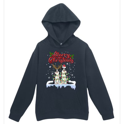 Border Collie Christmas Lights Matching Family Xmas Dog Gift Urban Pullover Hoodie