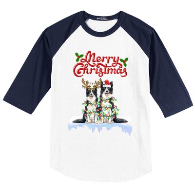 Border Collie Christmas Lights Matching Family Xmas Dog Gift Baseball Sleeve Shirt