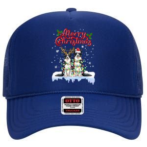 Border Collie Christmas Lights Matching Family Xmas Dog Gift High Crown Mesh Back Trucker Hat