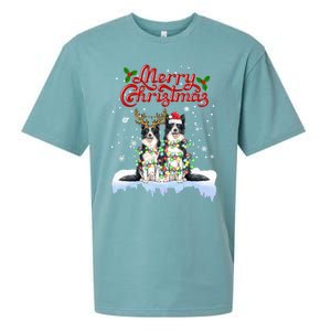 Border Collie Christmas Lights Matching Family Xmas Dog Gift Sueded Cloud Jersey T-Shirt