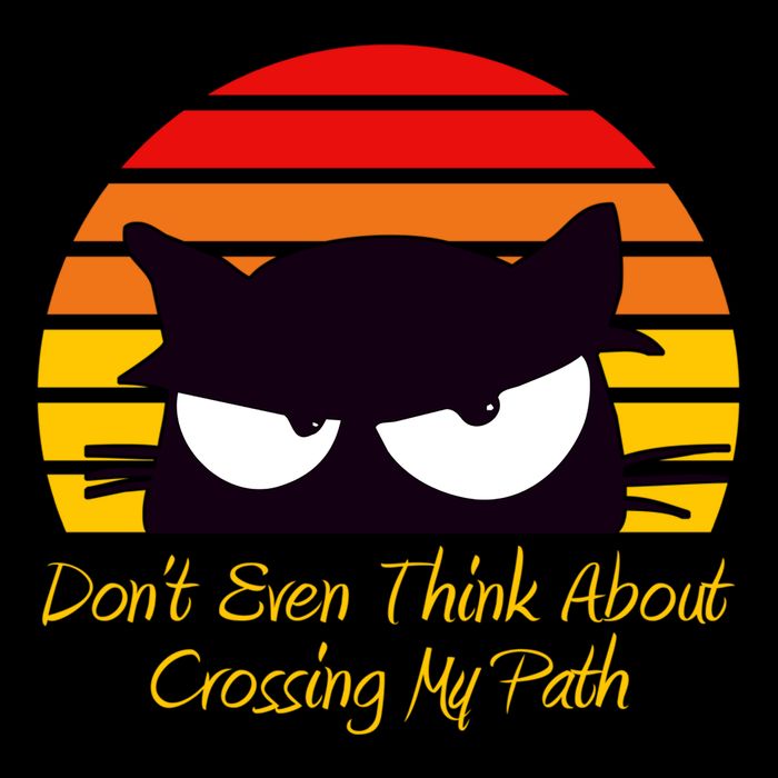 Black Cat Crossing His Path Funny Novelty Gift Cooling Performance Crew T-Shirt
