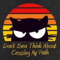 Black Cat Crossing His Path Funny Novelty Gift Adult Drive Performance Visor