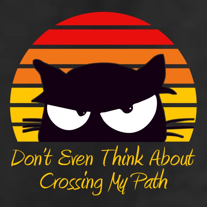 Black Cat Crossing His Path Funny Novelty Gift 11oz C Handle Ceramic Mug