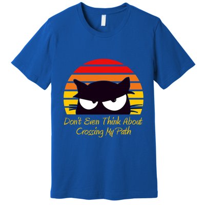 Black Cat Crossing His Path Funny Novelty Gift Premium T-Shirt