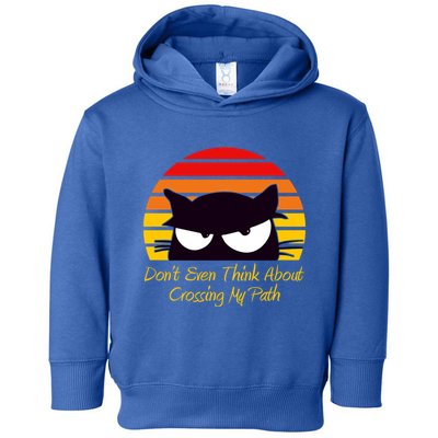 Black Cat Crossing His Path Funny Novelty Gift Toddler Hoodie