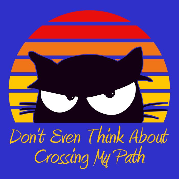 Black Cat Crossing His Path Funny Novelty Gift Zip Tote Bag