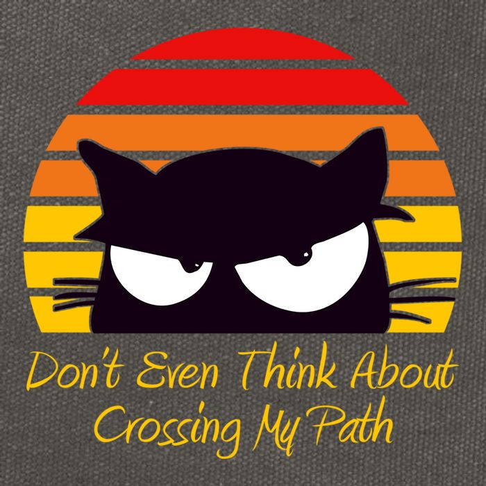 Black Cat Crossing His Path Funny Novelty Gift Cotton Canvas Backpack